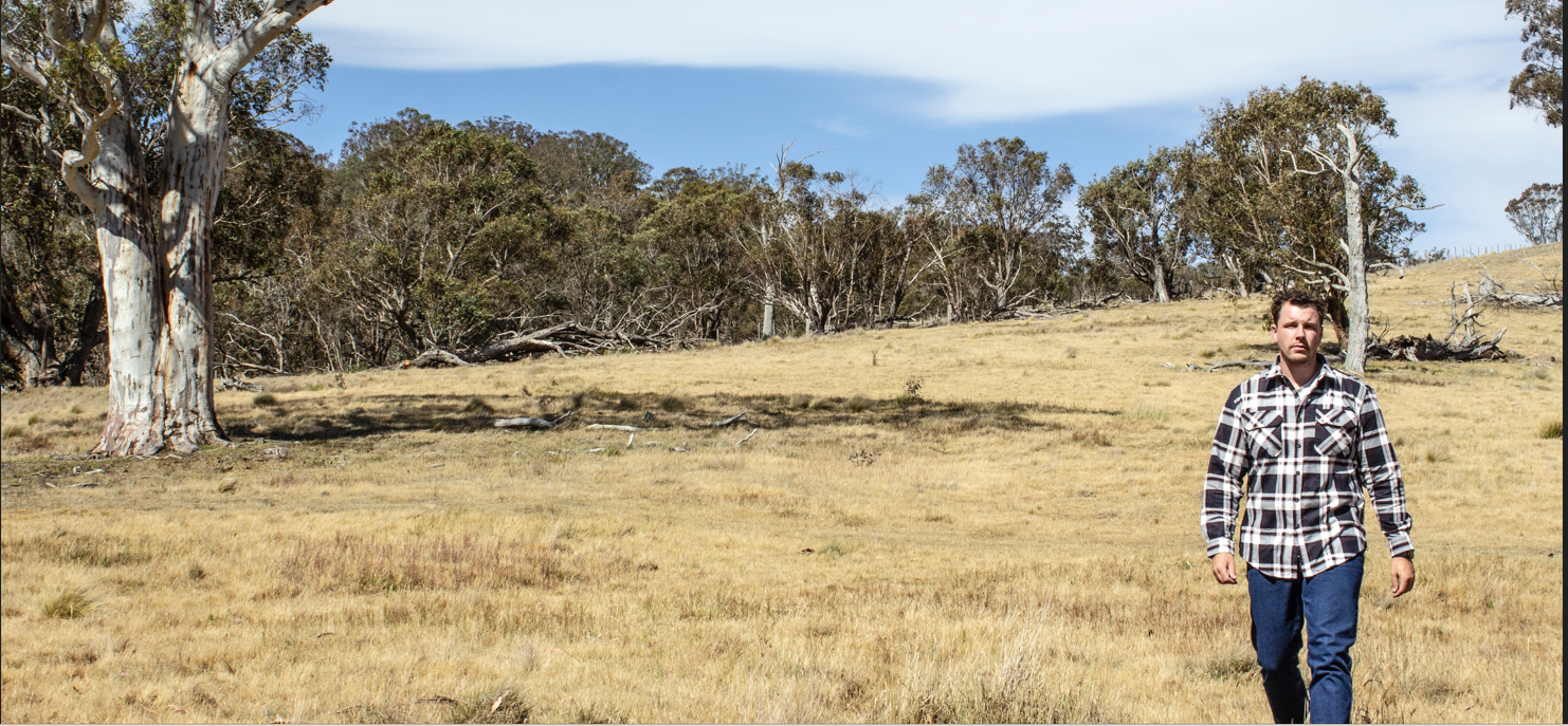 Pilgrim sales clothing australia